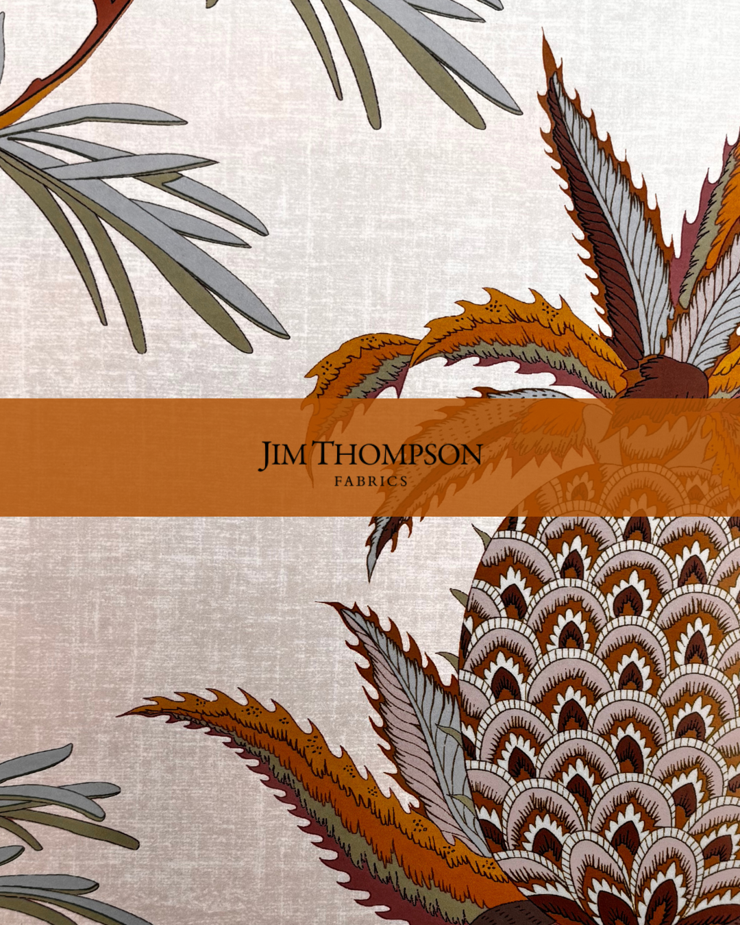 Jim Thompson