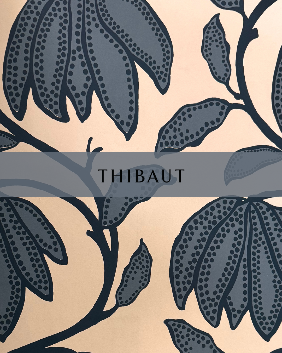 Thibaut